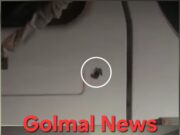 जालंधर: तीसरी बार चली गोली ठा ठा मात्र 24 घंटों में, हाईवे पर Scorpio सवारों ने टिप्पर पर किए कई फायर, पढ़ें व देखें