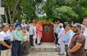 जालंधर सेंट्रल के विकास के लिए आम आदमी पार्टी ने उठाया बड़ा कदम, नितिन कोहली ने ग्रीन पार्क में सड़क के काम का उद्घाटन किया, पढ़ें व देखें