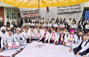 जालंधर: भूख हड़ताल पर बैठे DBA के प्रधान आदित्य जैन, सचिव रोहित गंभीर सहित कई वरिष्ठ वकील, LADC पालिसी का कर रहें हैं विरोध, पढ़ें व देखें
